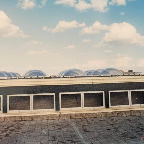 arab academy domes in alexandria